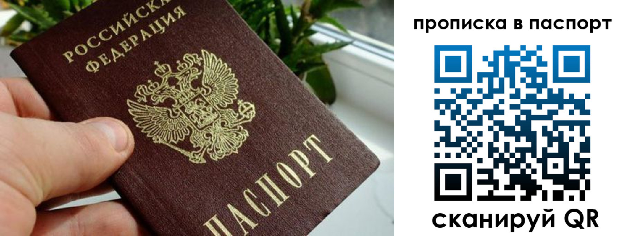 временная регистрация поиск в Орске